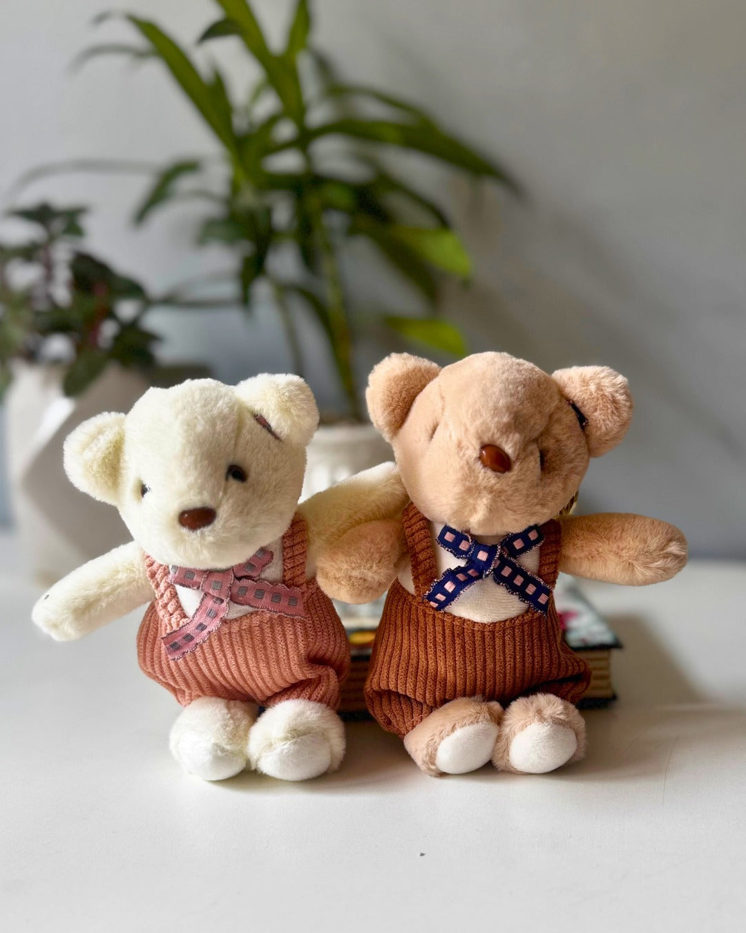 Twin Teddy Charm Duo